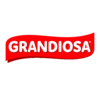 www.grandiosa.fi