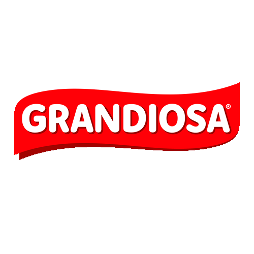 www.grandiosa.fi